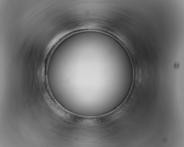 X0000112041078200908031511