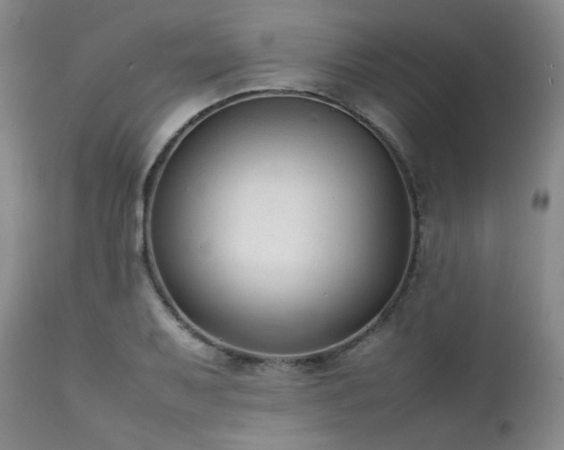 X0000112041079200908031511