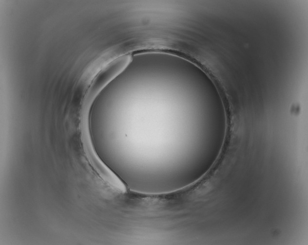 X0000112041081200908031511