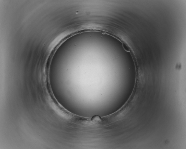 X0000112041082200908031511