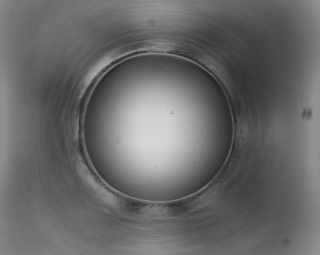X0000112041083200908031511