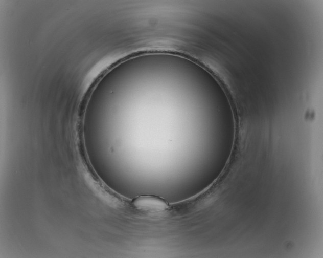 X0000112041085200908031511