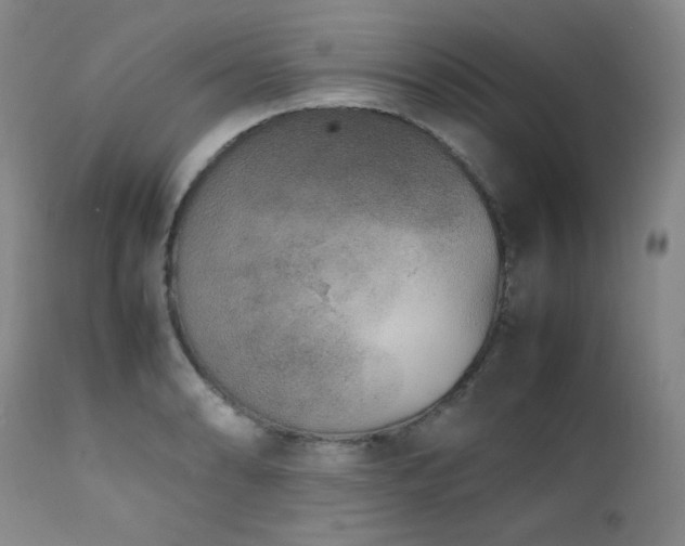 X0000112041086200908031511