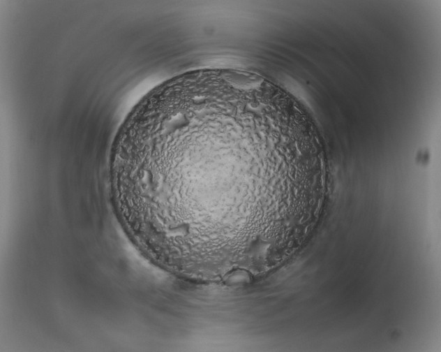 X0000112041087200908031511
