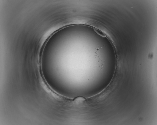 X0000112041088200908031511