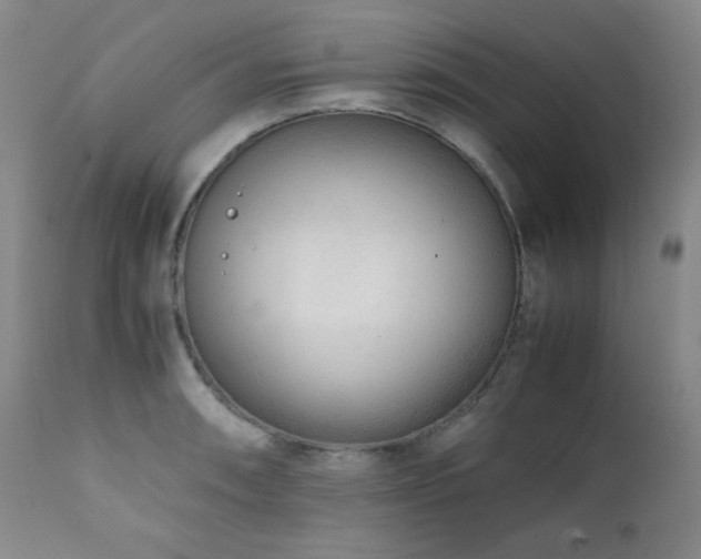 X0000112041090200908031511