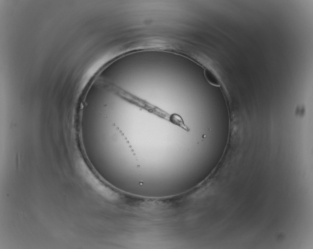 X0000112041091200908031511
