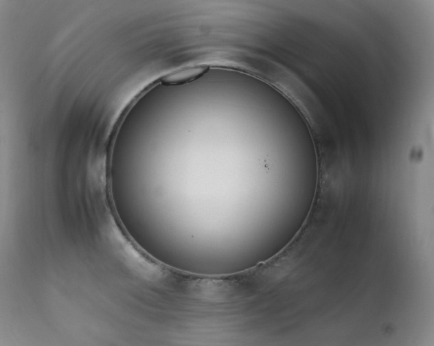 X0000112041092200908031511