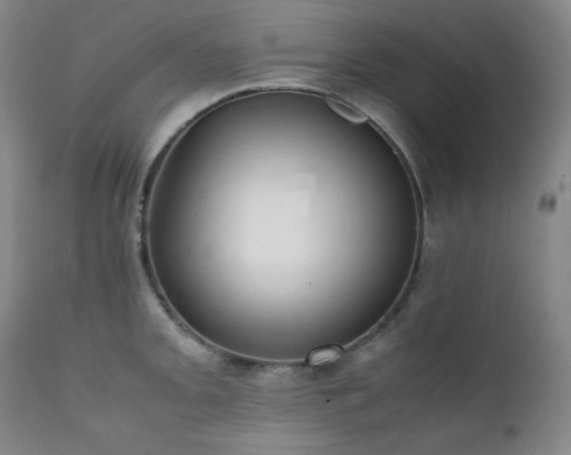 X0000112041093200908031511