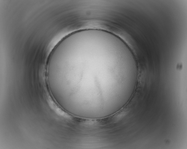 X0000112041094200908031511