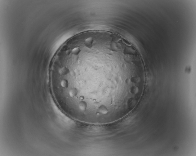 X0000112041095200908031511
