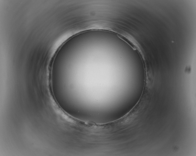 X0000112041096200908031511