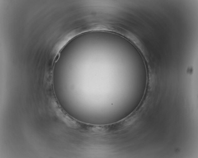 X0000112041097200908031511