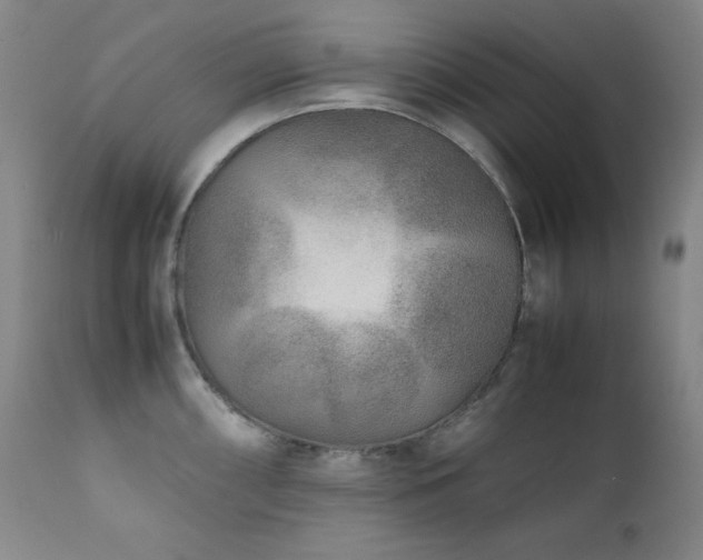 X0000112041098200908031511