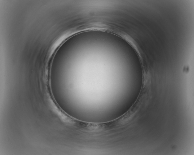 X0000112041099200908031511