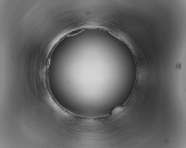 X0000112041100200908031511