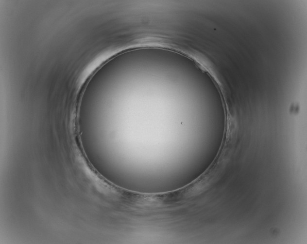 X0000112041101200908031511