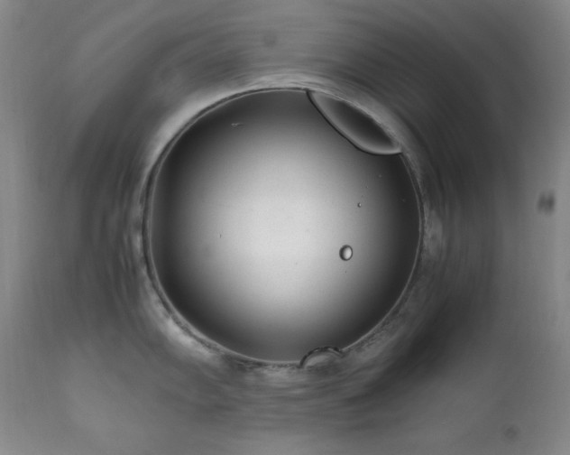 X0000112041102200908031511
