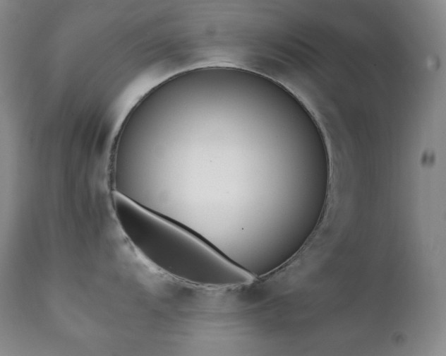X0000112041104200908031510