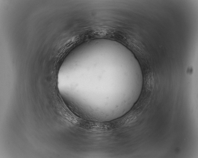 X0000112041105200908031510