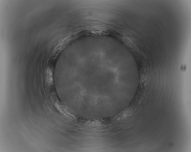 X0000112041106200908031510