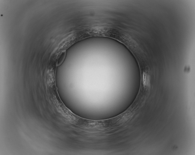 X0000112041107200908031510