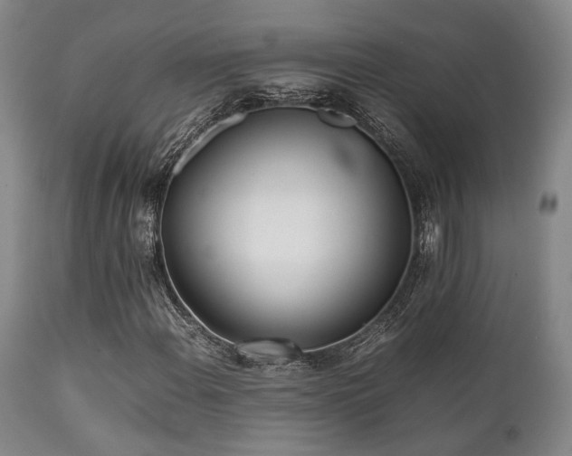 X0000112041108200908031510
