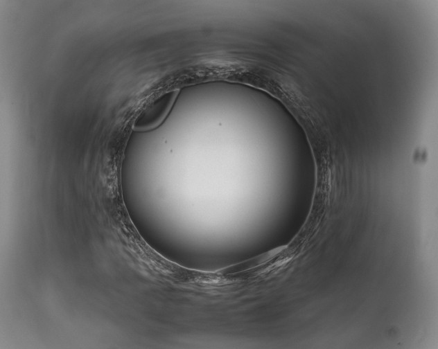 X0000112041109200908031510