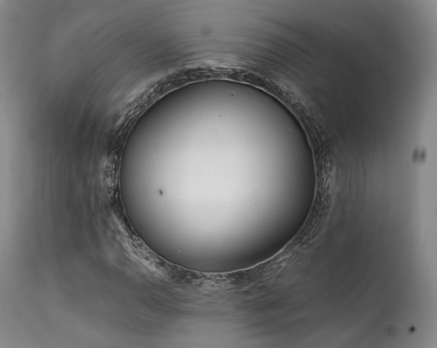 X0000112041110200908031510