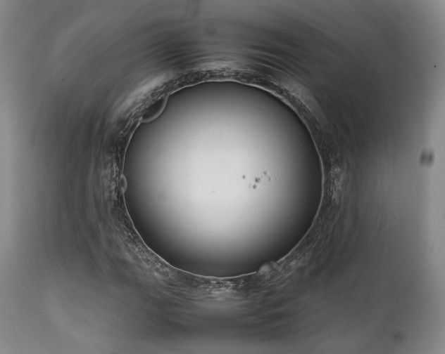 X0000112041111200908031510
