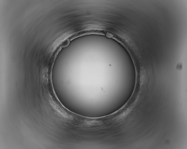X0000112041113200908031510