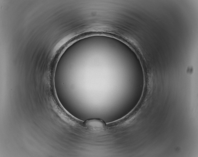X0000112041114200908031510