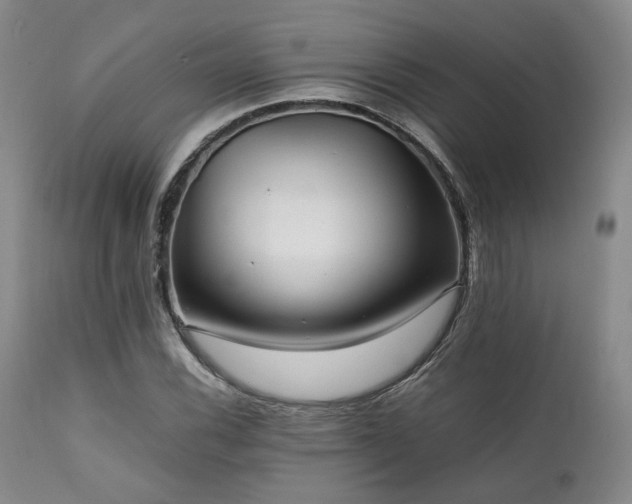 X0000112041116200908031510