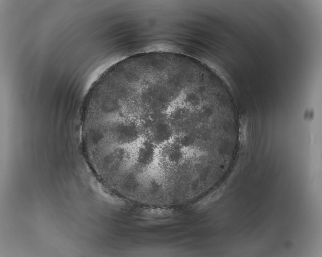 X0000112041117200908031510