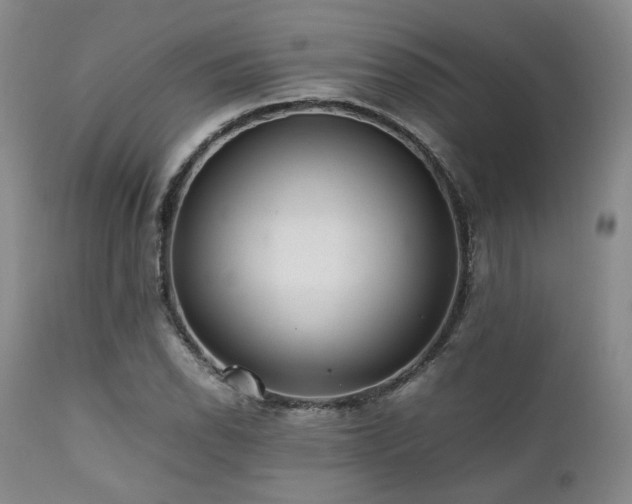 X0000112041118200908031510