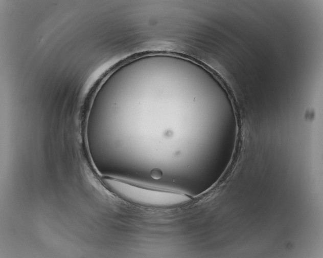 X0000112041120200908031510
