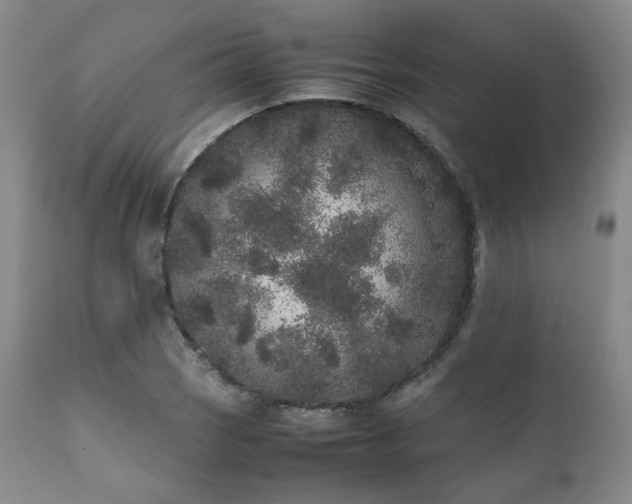 X0000112041121200908031510