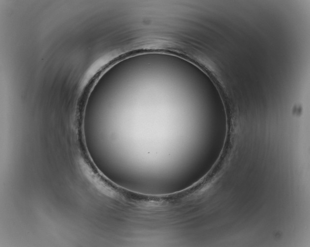 X0000112041122200908031510