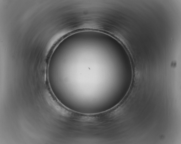 X0000112041123200908031510
