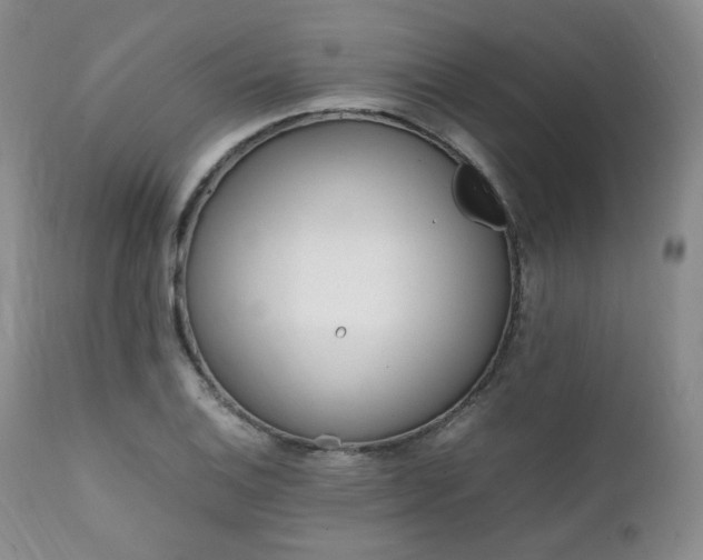 X0000112041124200908031510