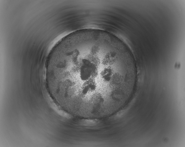 X0000112041125200908031510