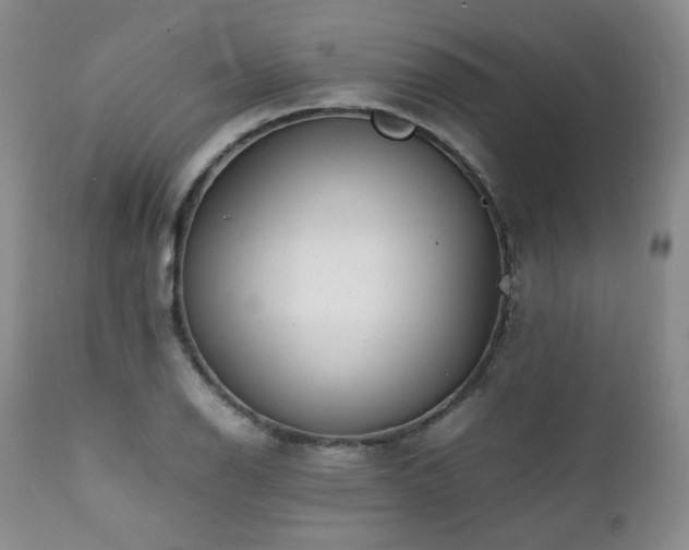 X0000112041126200908031510