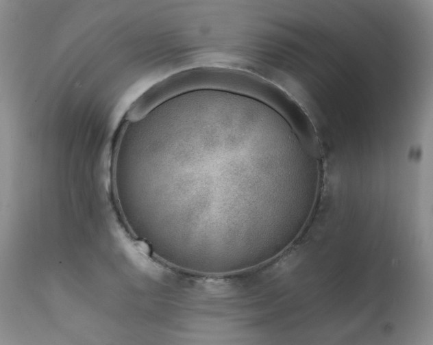 X0000112041128200908031510