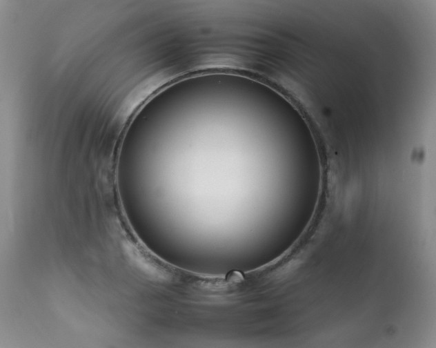 X0000112041129200908031510