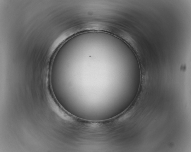 X0000112041130200908031510