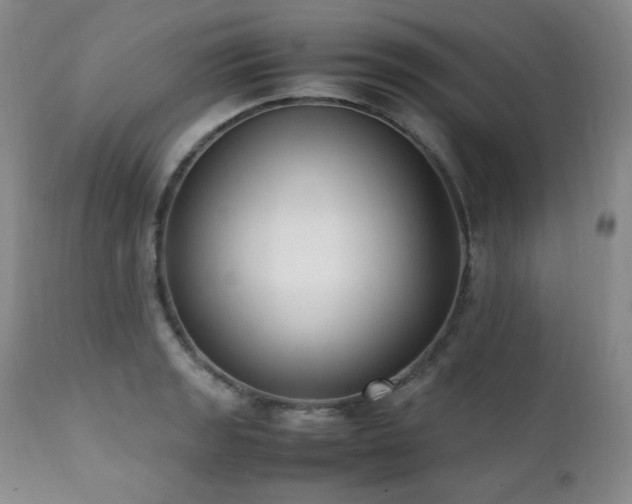 X0000112041133200908031510