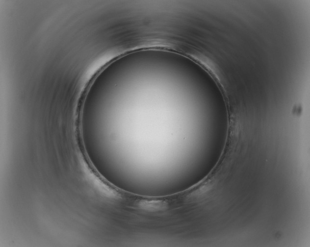 X0000112041135200908031510
