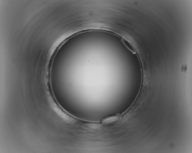 X0000112041136200908031510