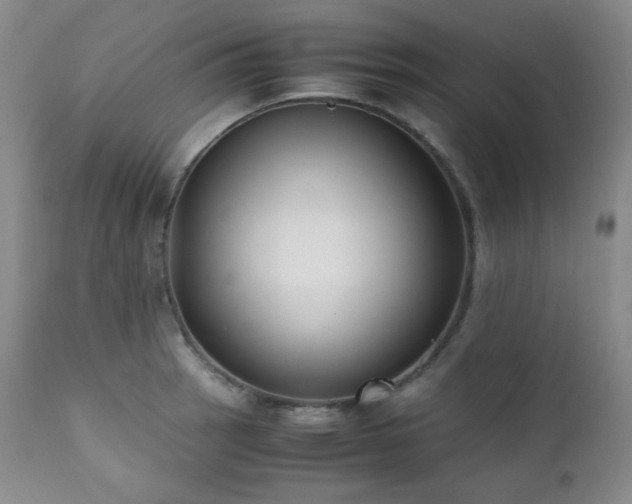 X0000112041137200908031510
