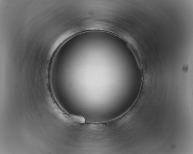 X0000112041138200908031510